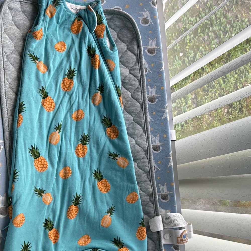 Kyte BABY Blue and Orange Sleep Sacks with Playful Fish Pattern